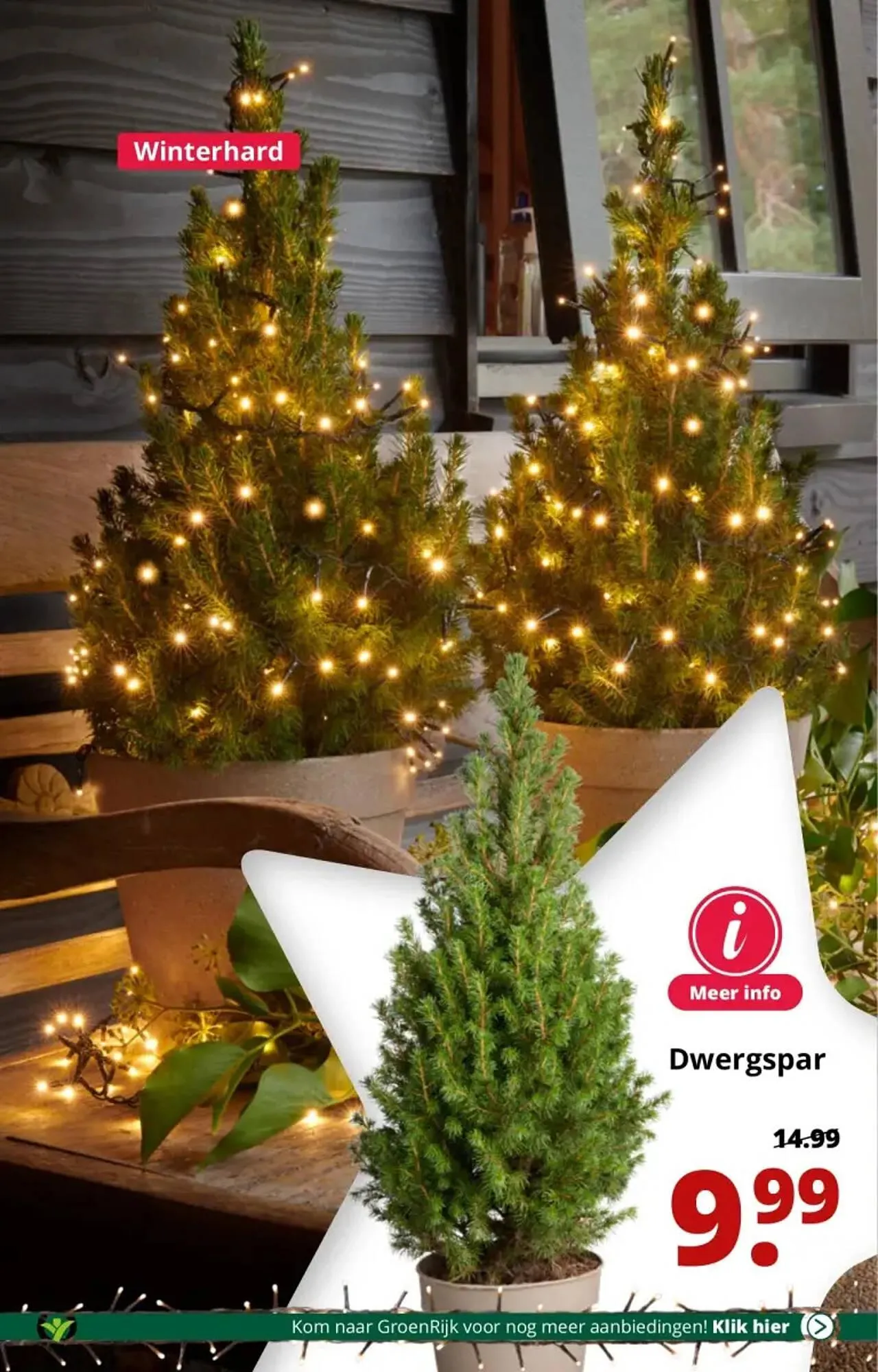 GroenRijk folder van 29 november tot 5 december 2023 - Folder pagina 13