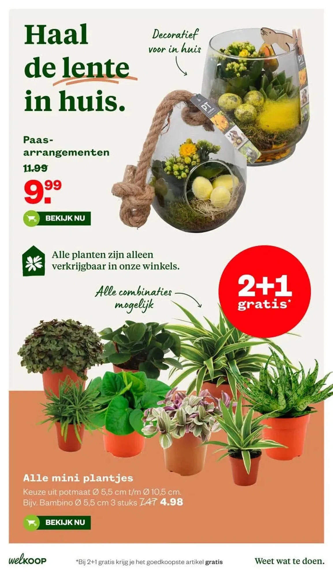 Welkoop folder van 6 april tot 12 april 2026 - Folder pagina 27