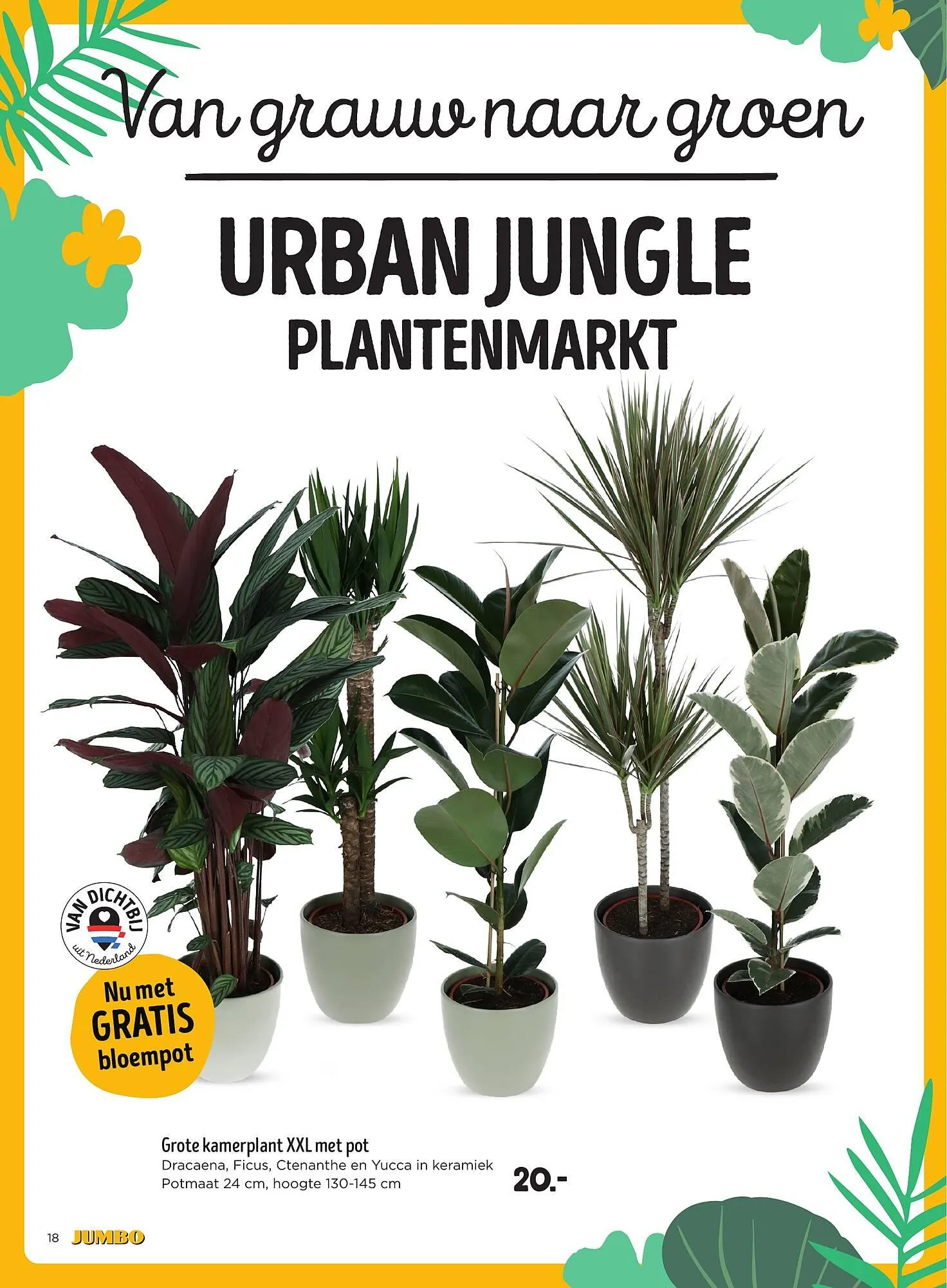 Jumbo folder van 15 oktober tot 21 oktober 2025 - Folder pagina 16