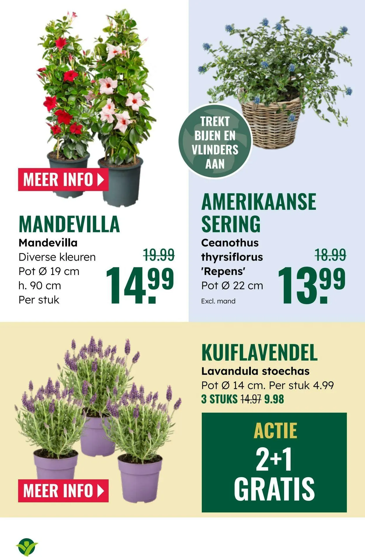 GroenRijk Actuele folder van 10 juni tot 24 juni 2025 - Folder pagina 9