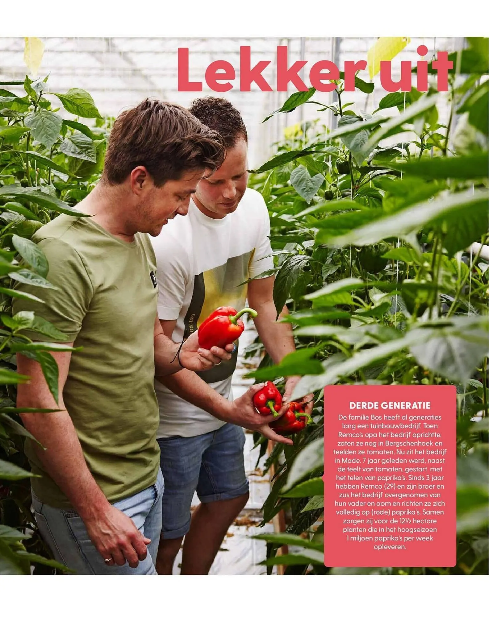 Allerhande magazine van 1 juli tot 31 juli 2024 - Folder pagina 62