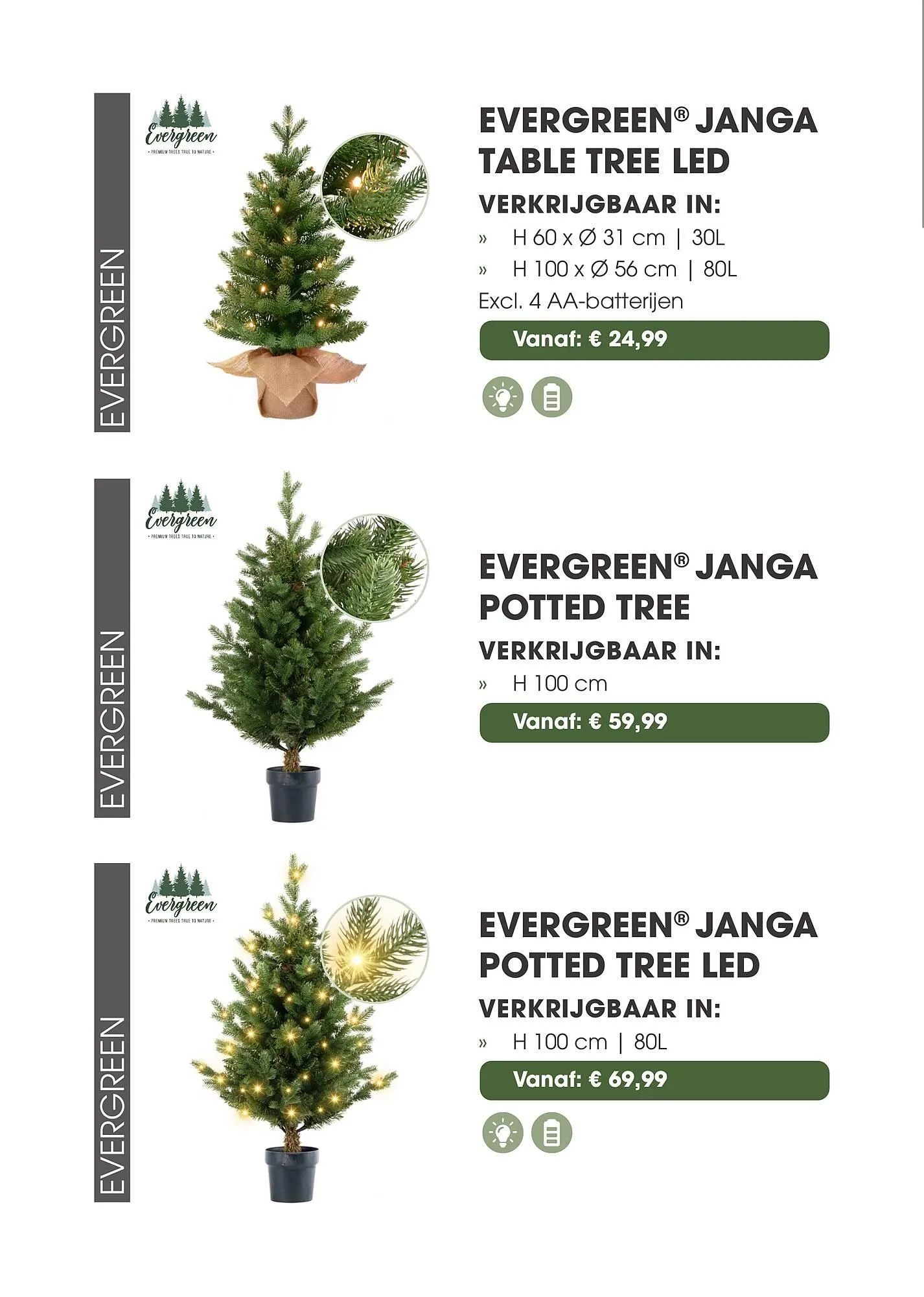 Coppelmans kerstbomencatalogus van 12 november tot 24 december 2025 - Folder pagina 7