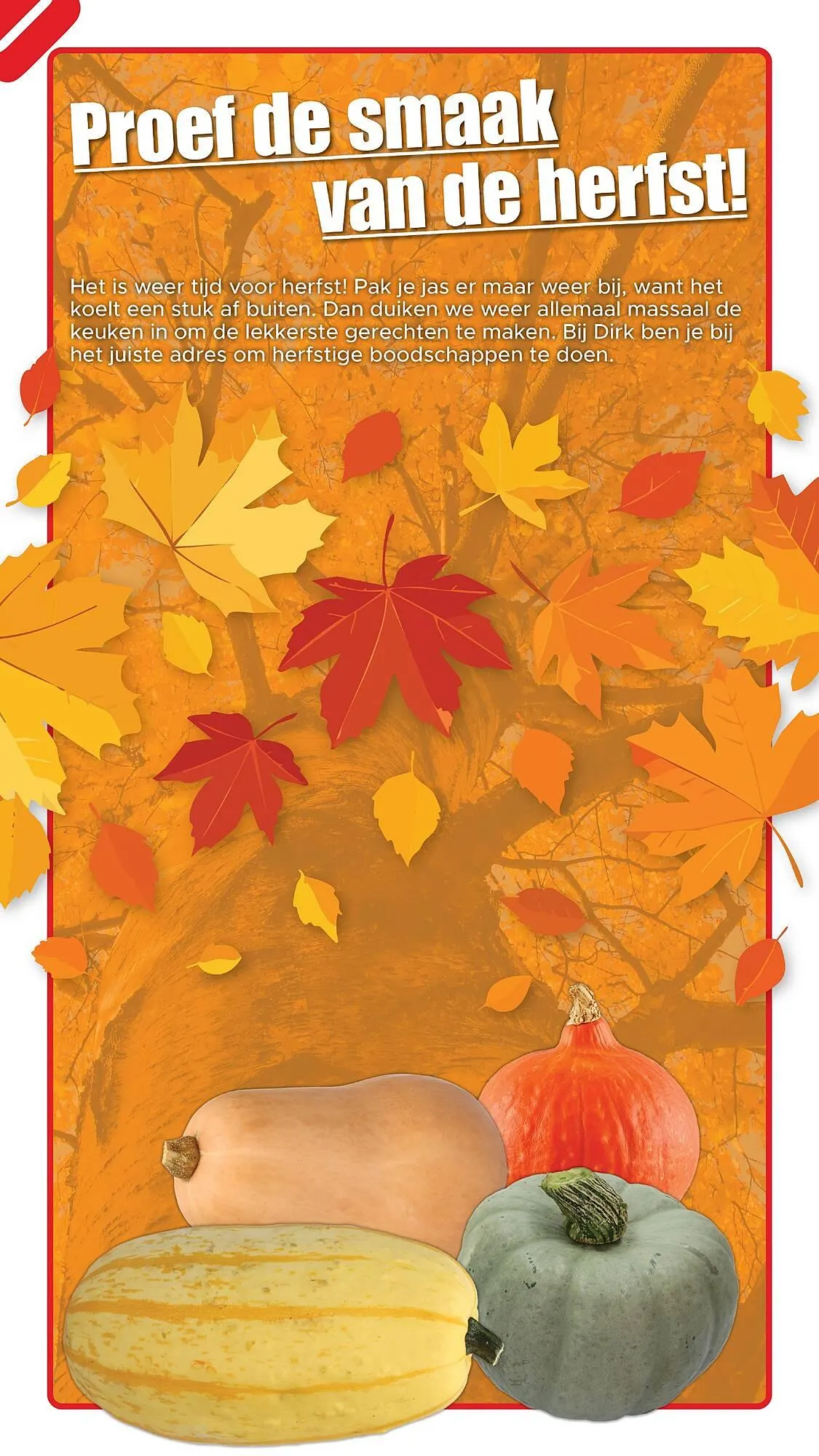 Dirk folder van 1 oktober tot 31 oktober 2025 - Folder pagina 4