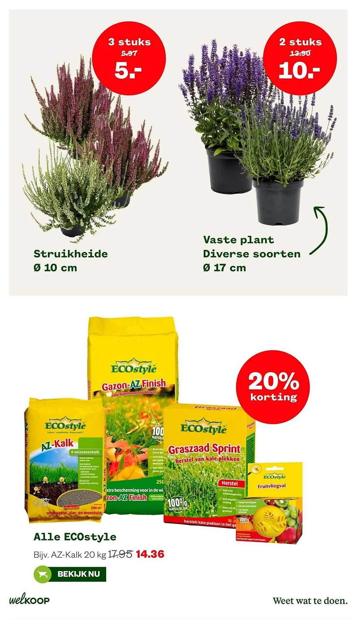 Welkoop folder van 4 september tot 24 september 2023 - Folder pagina 3