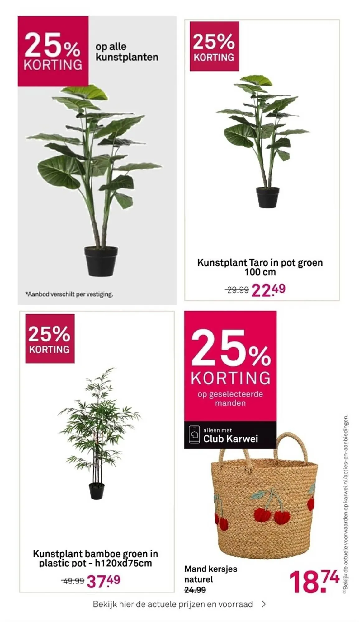 Karwei folder van 26 februari tot 3 maart 2024 - Folder pagina 41