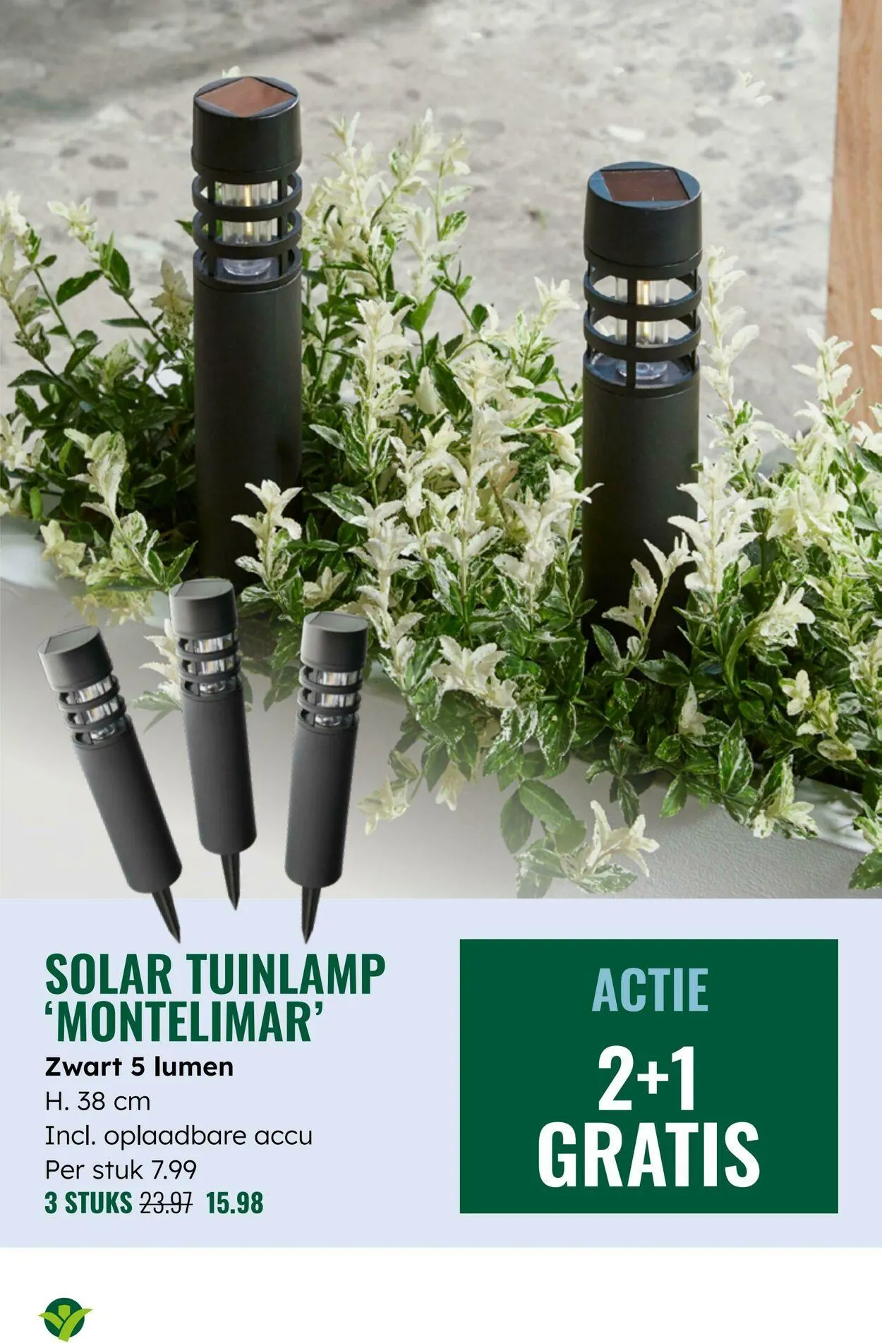 GroenRijk Actuele folder van 16 september tot 30 september 2025 - Folder pagina 3