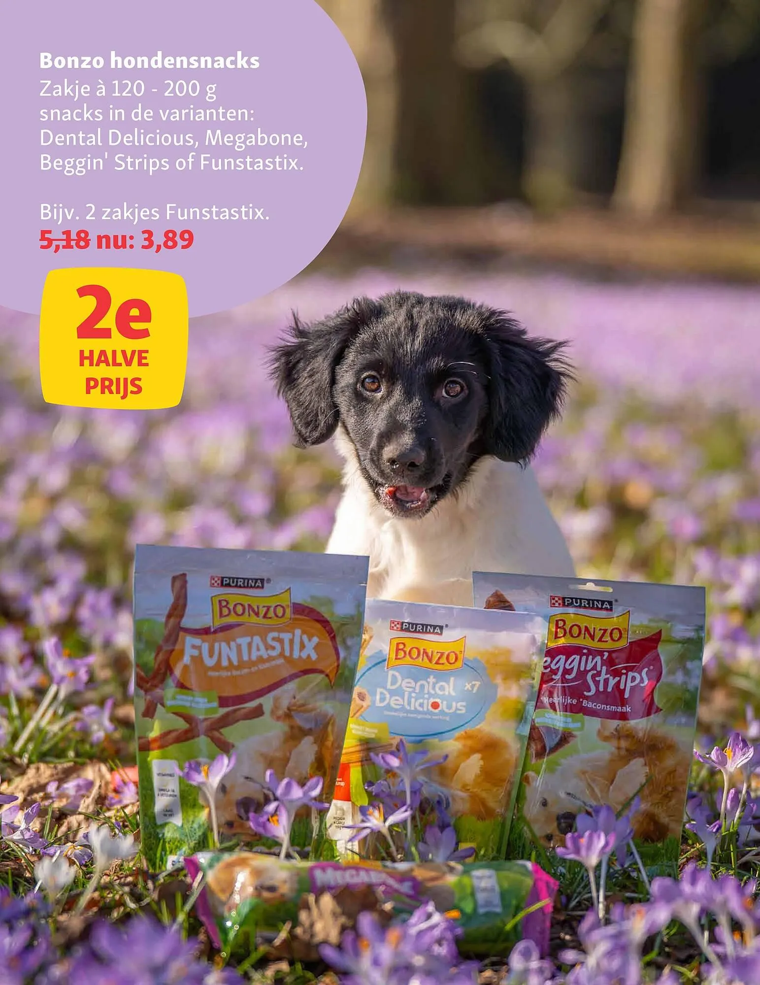 Maxi Zoo folder van 3 november tot 9 november 2025 - Folder pagina 10