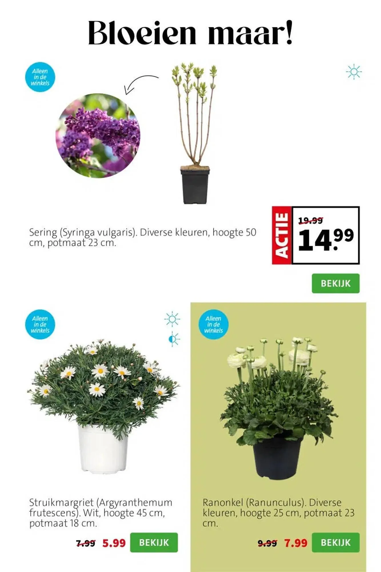 Intratuin folder van 6 april tot 12 april 2026 - Folder pagina 4