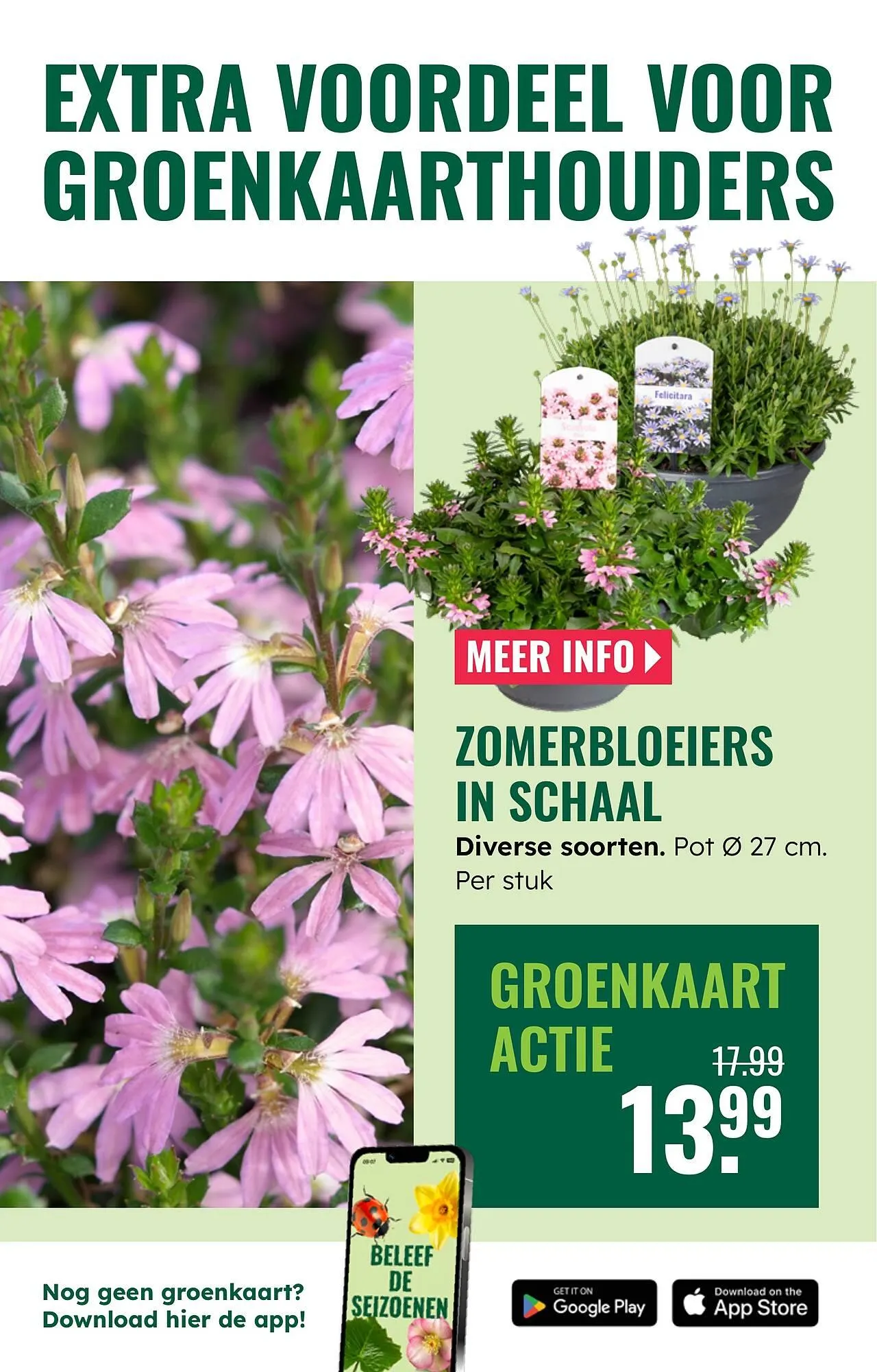 GroenRijk folder van 23 april tot 29 april 2026 - Folder pagina 11