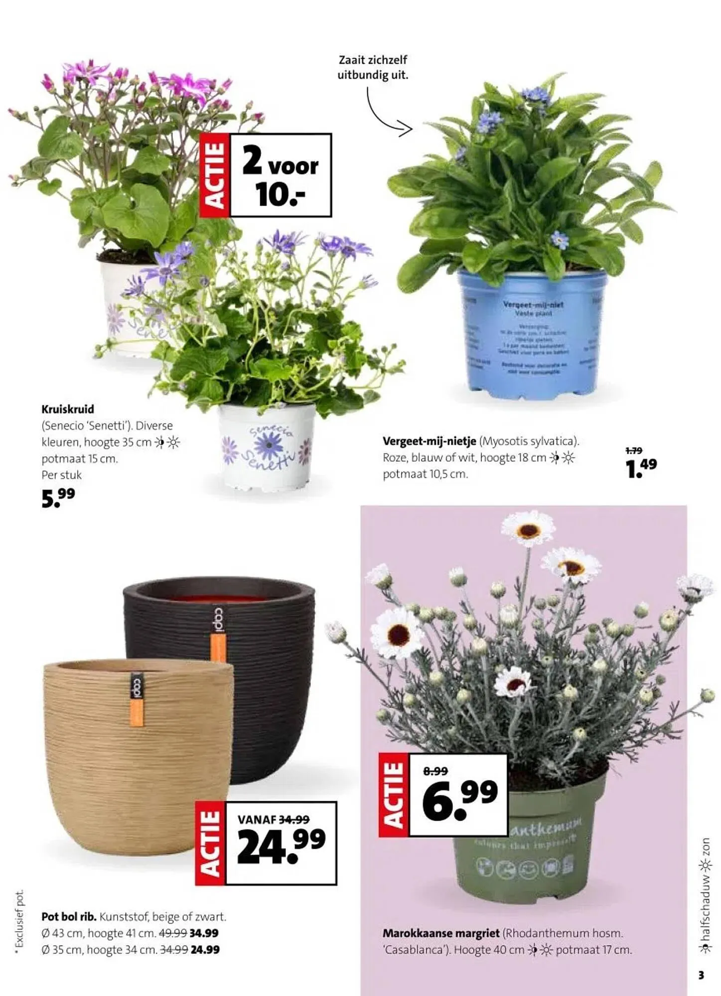 Intratuin folder van 2 maart tot 8 maart 2026 - Folder pagina 3