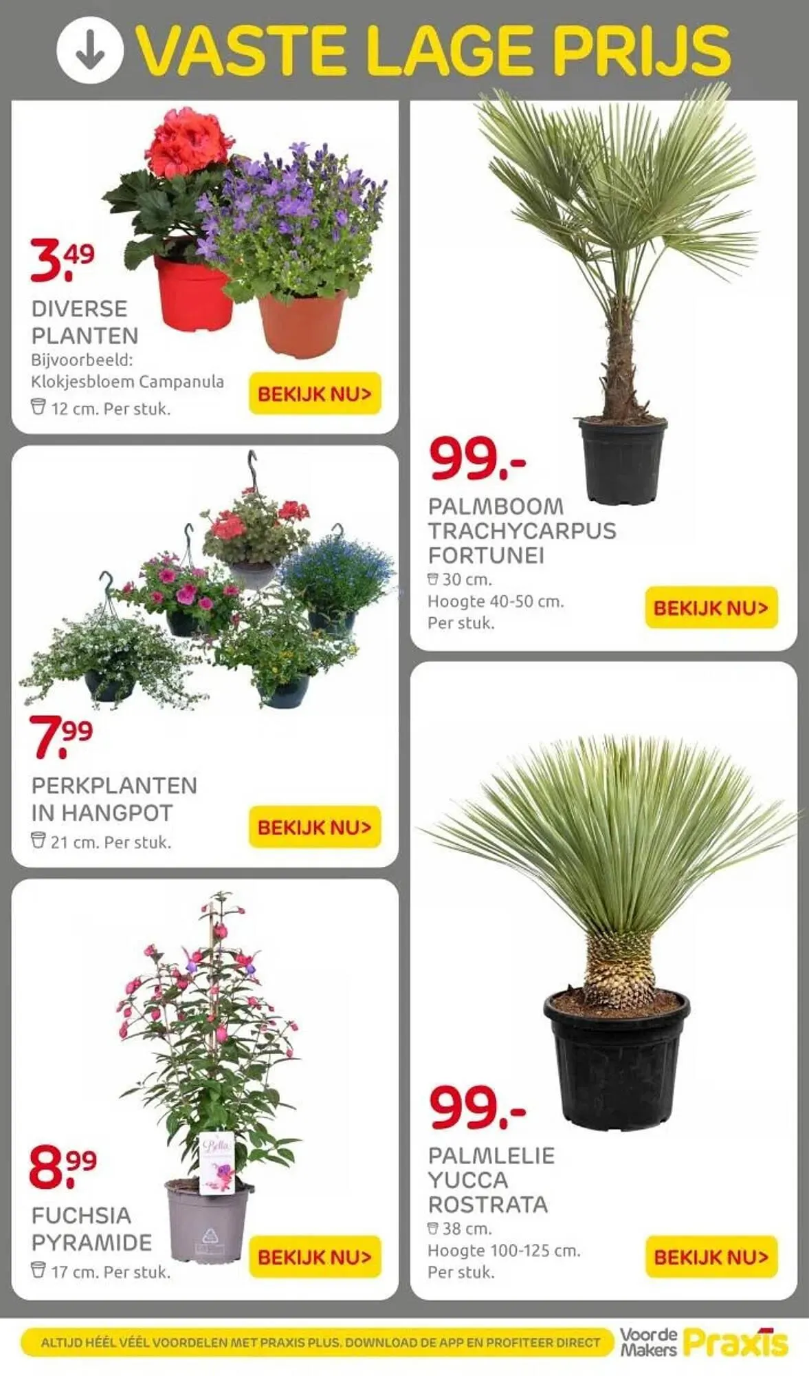 Praxis folder van 22 april tot 27 april 2025 - Folder pagina 13