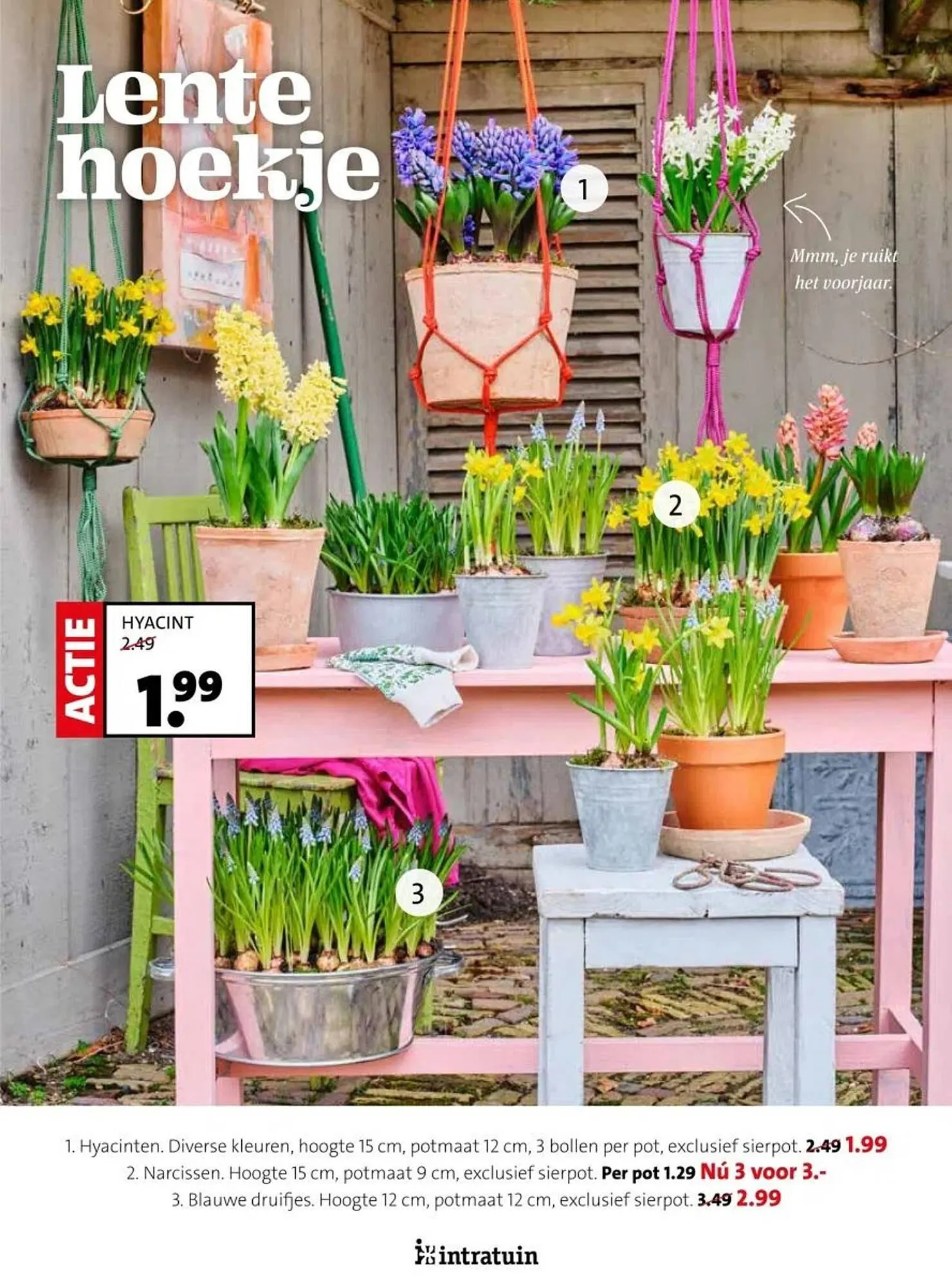 Intratuin folder van 17 februari tot 23 februari 2025 - Folder pagina 2