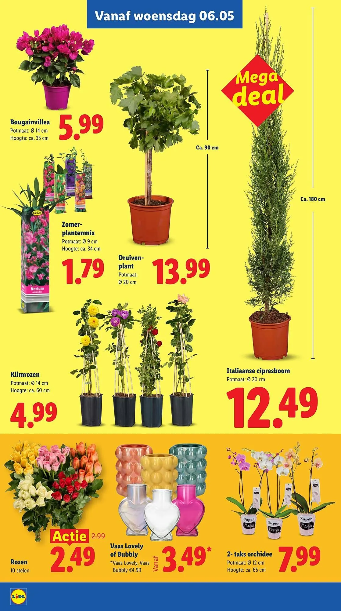 Lidl folder van 4 mei tot 10 mei 2026 - Folder pagina 25