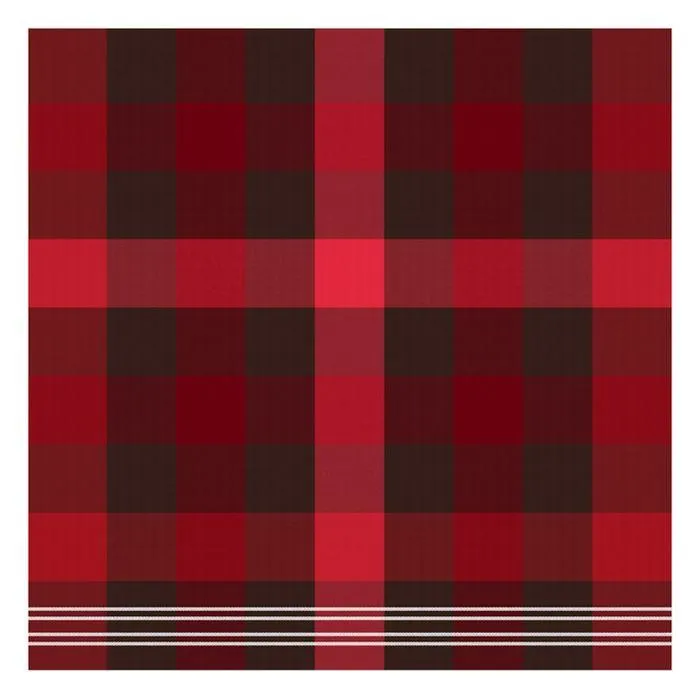 DDDDD Theedoek Feller 60x65cm - red - set van 6