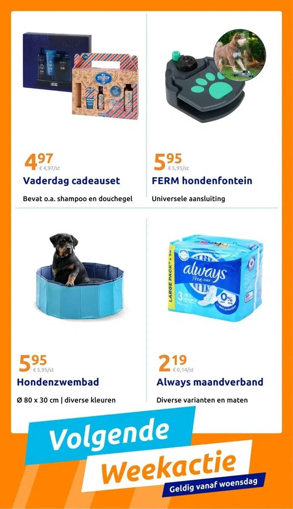 Action folder van 4 juni tot 4 juni 2025 - Folder pagina 10