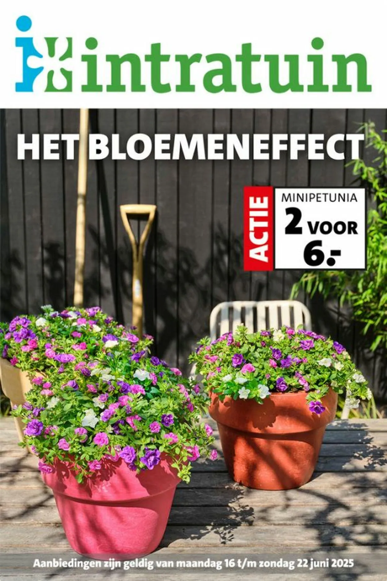 Intratuin van 16 juni tot 22 juni 2025 - Folder pagina 1