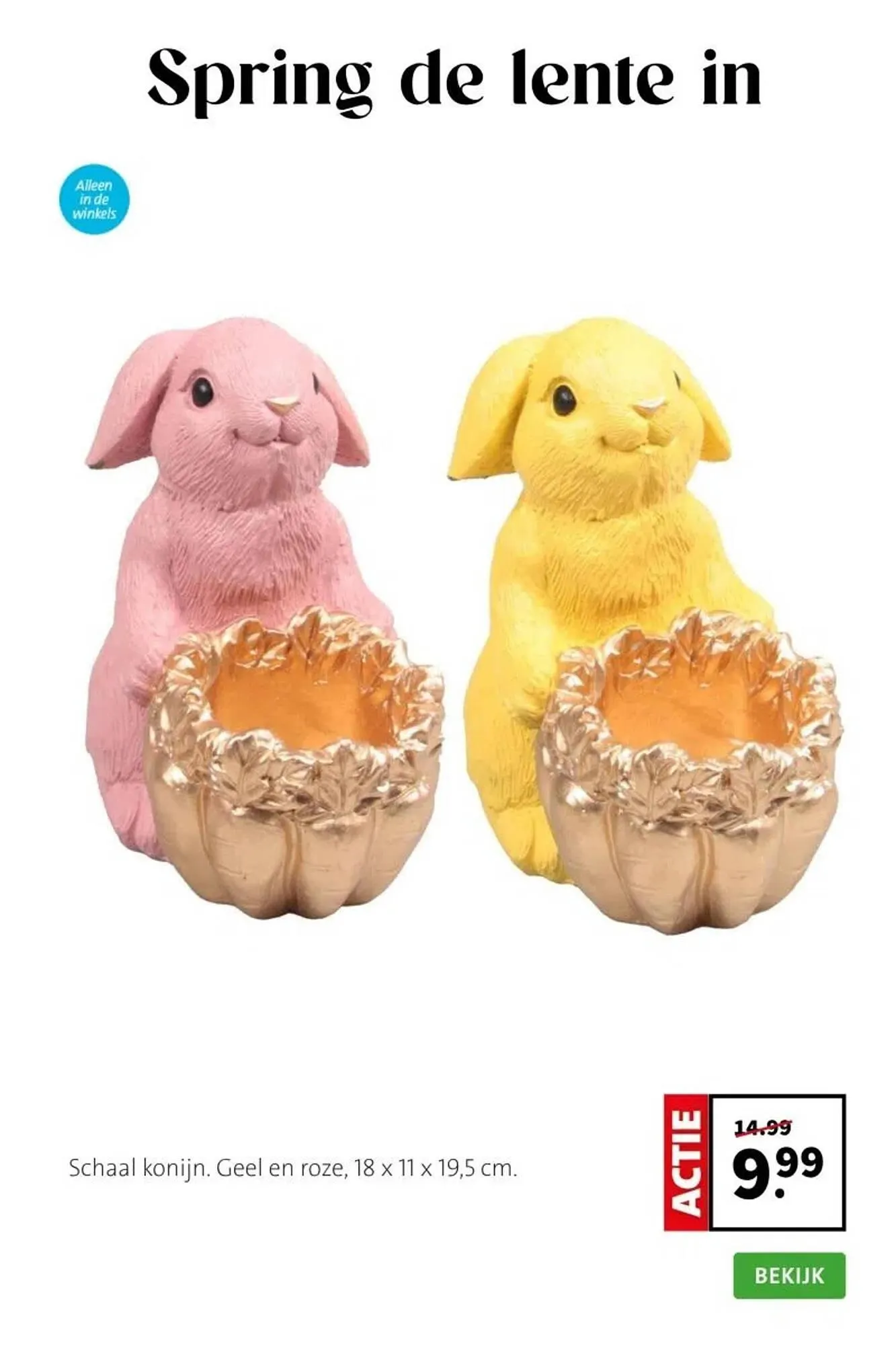 Intratuin folder van 9 maart tot 15 maart 2026 - Folder pagina 6