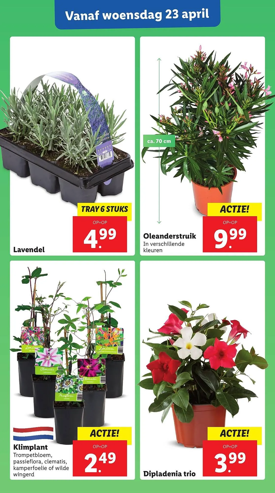 Lidl folder van 22 april tot 27 april 2025 - Folder pagina 28