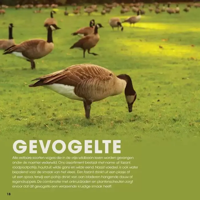 Wildbrochure 2024/2025 van 25 september tot 25 september 2025 - Folder pagina 18