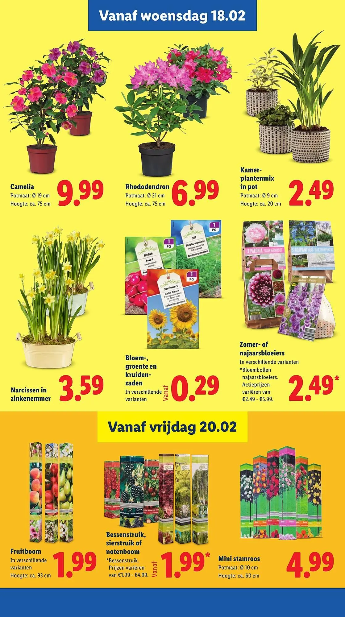Lidl folder van 16 februari tot 22 februari 2026 - Folder pagina 15