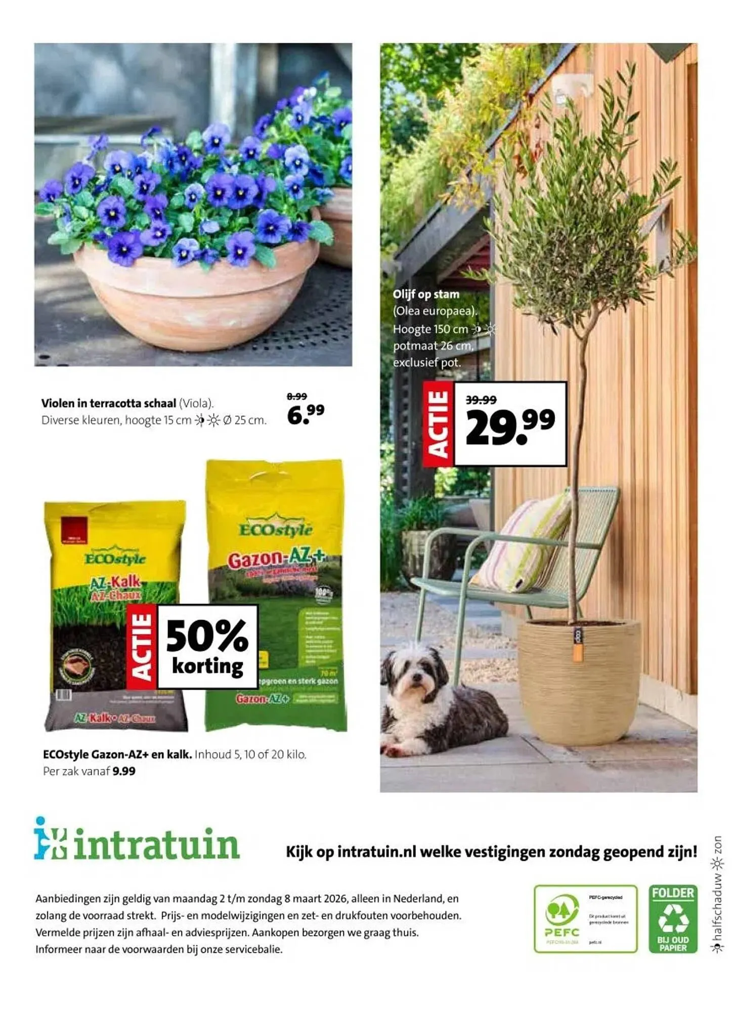 Intratuin folder van 2 maart tot 8 maart 2026 - Folder pagina 8