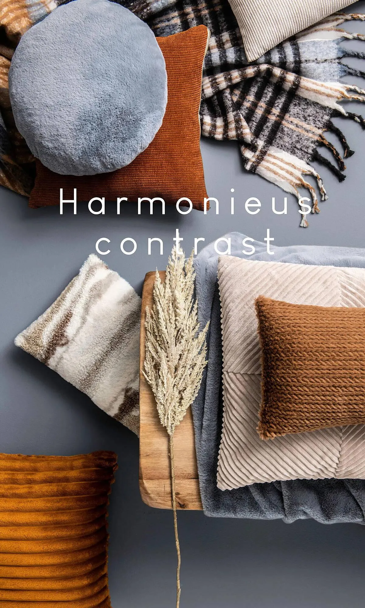 Leen Bakker folder van 5 oktober tot 25 februari 2024 - Folder pagina 11