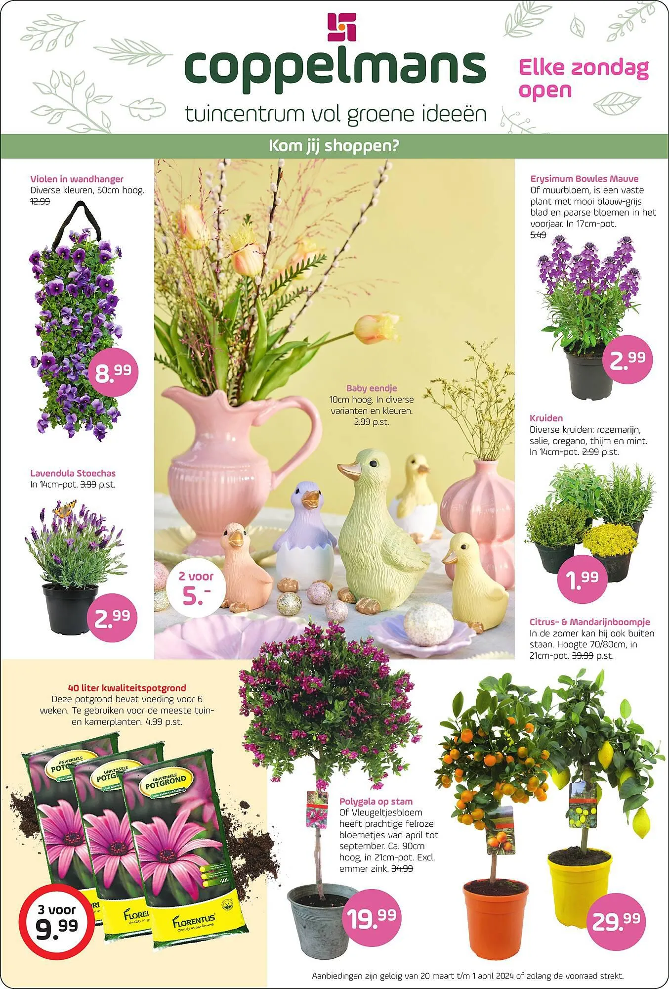 Coppelmans folder van 25 maart tot 1 april 2024 - Folder pagina 1
