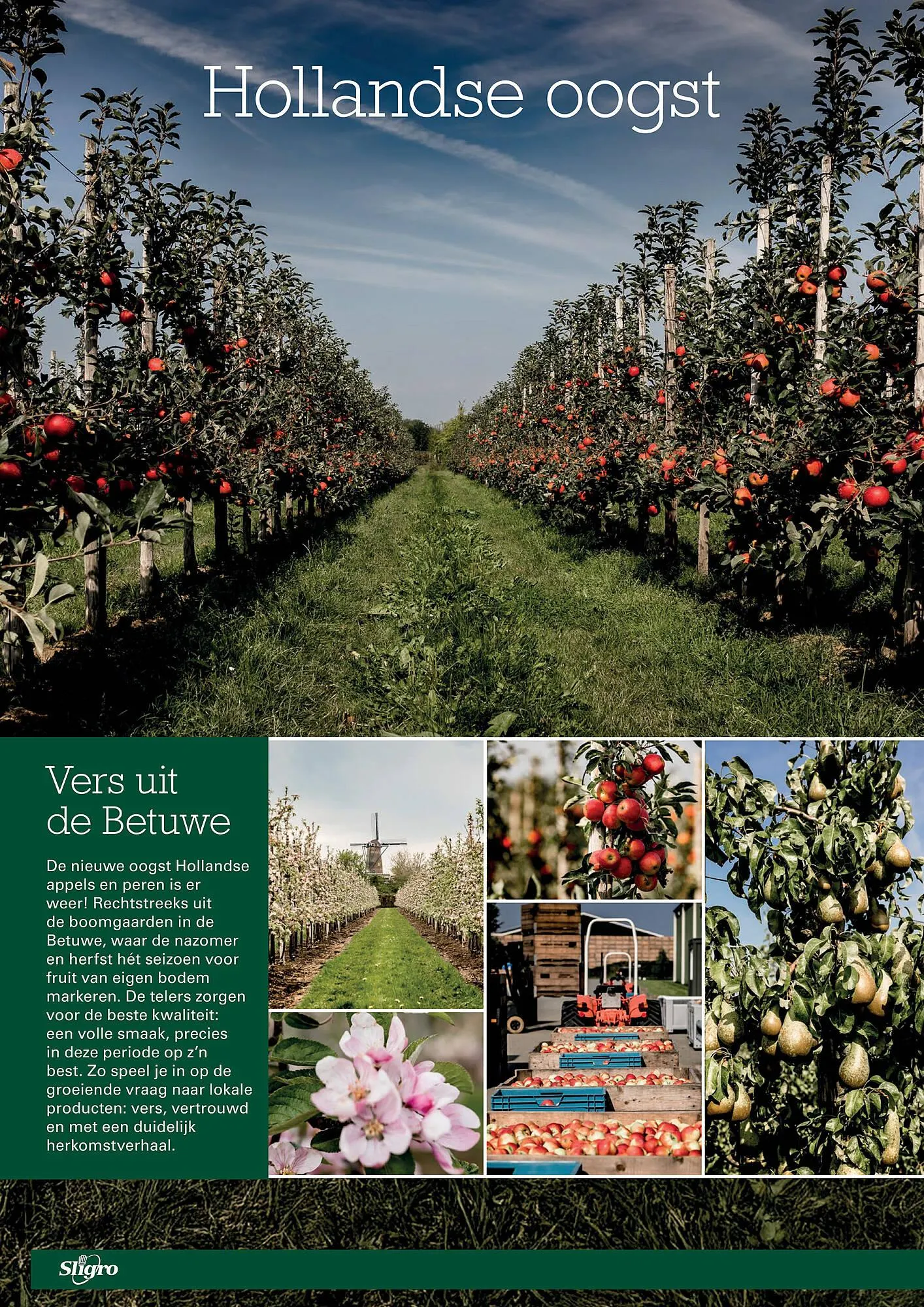 Sligro folder van 18 september tot 6 oktober 2025 - Folder pagina 4