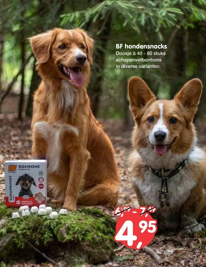 Jumper folder van 17 augustus tot 31 augustus 2024 - Folder pagina 8