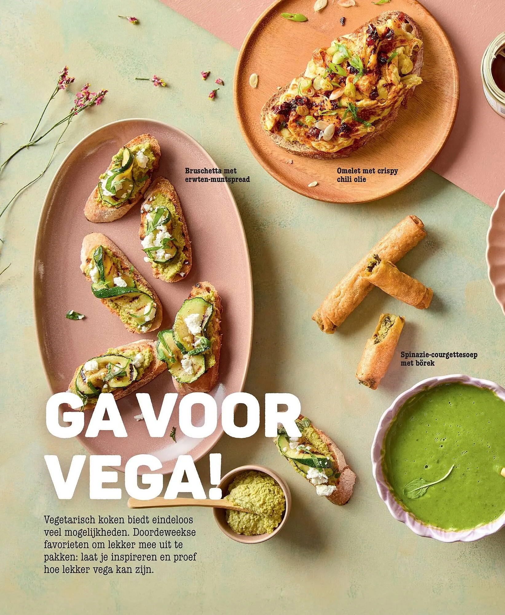 Ekoplaza magazine van 18 maart tot 21 mei 2026 - Folder pagina 12