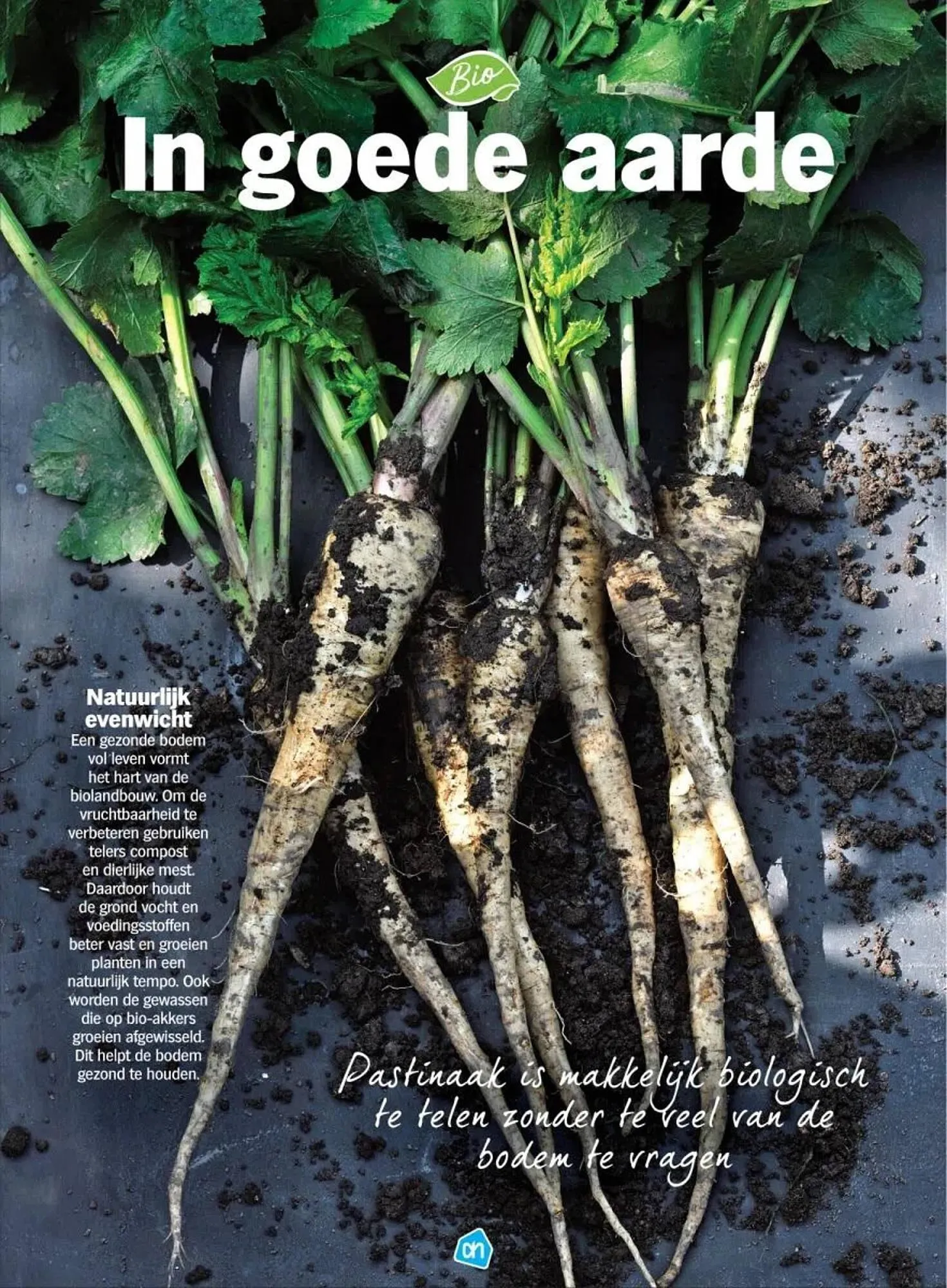 Albert Heijn Biologisch folder van 15 september tot 4 oktober 2023 - Folder pagina 8