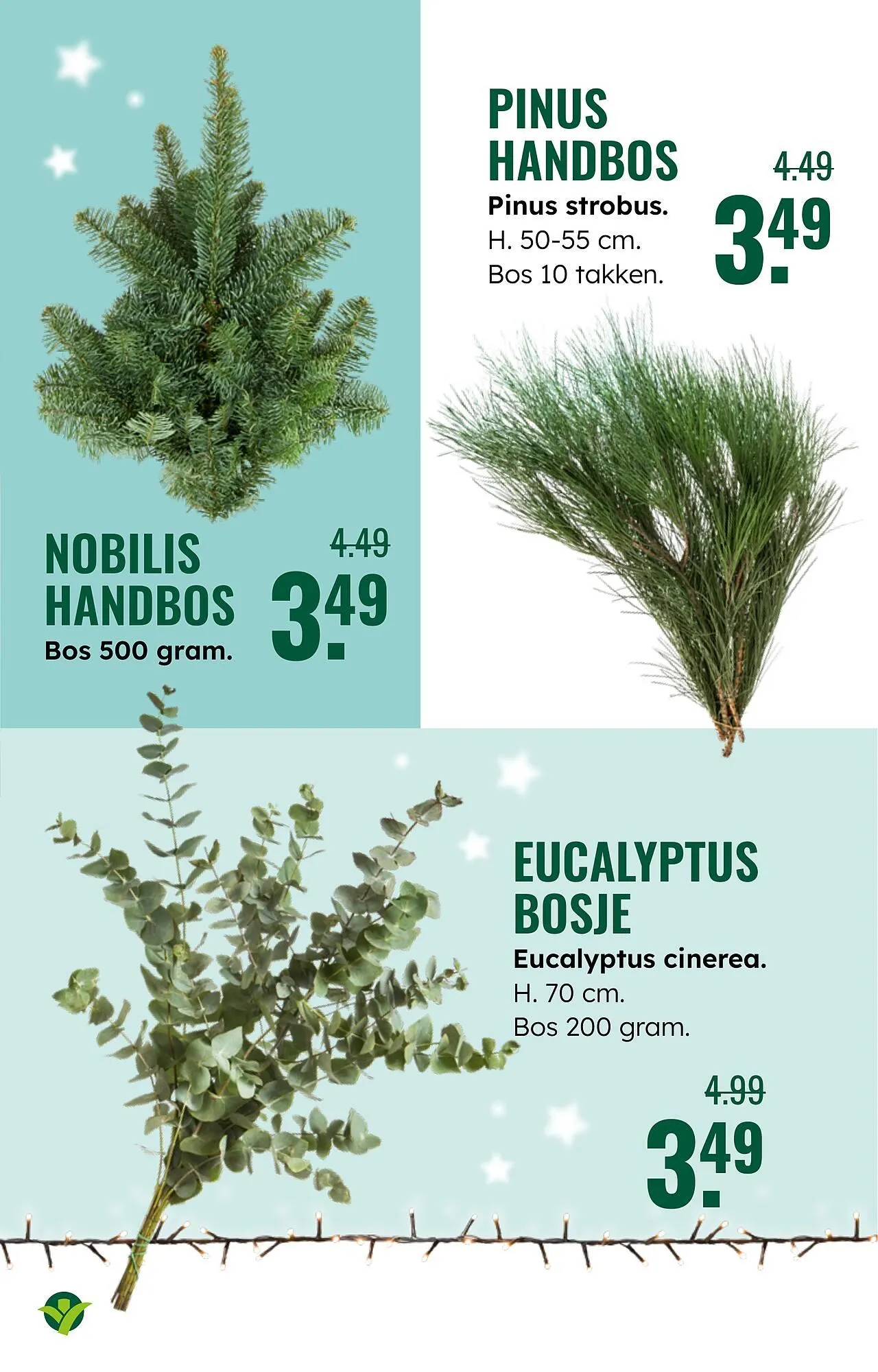 GroenRijk folder van 3 december tot 9 december 2025 - Folder pagina 21