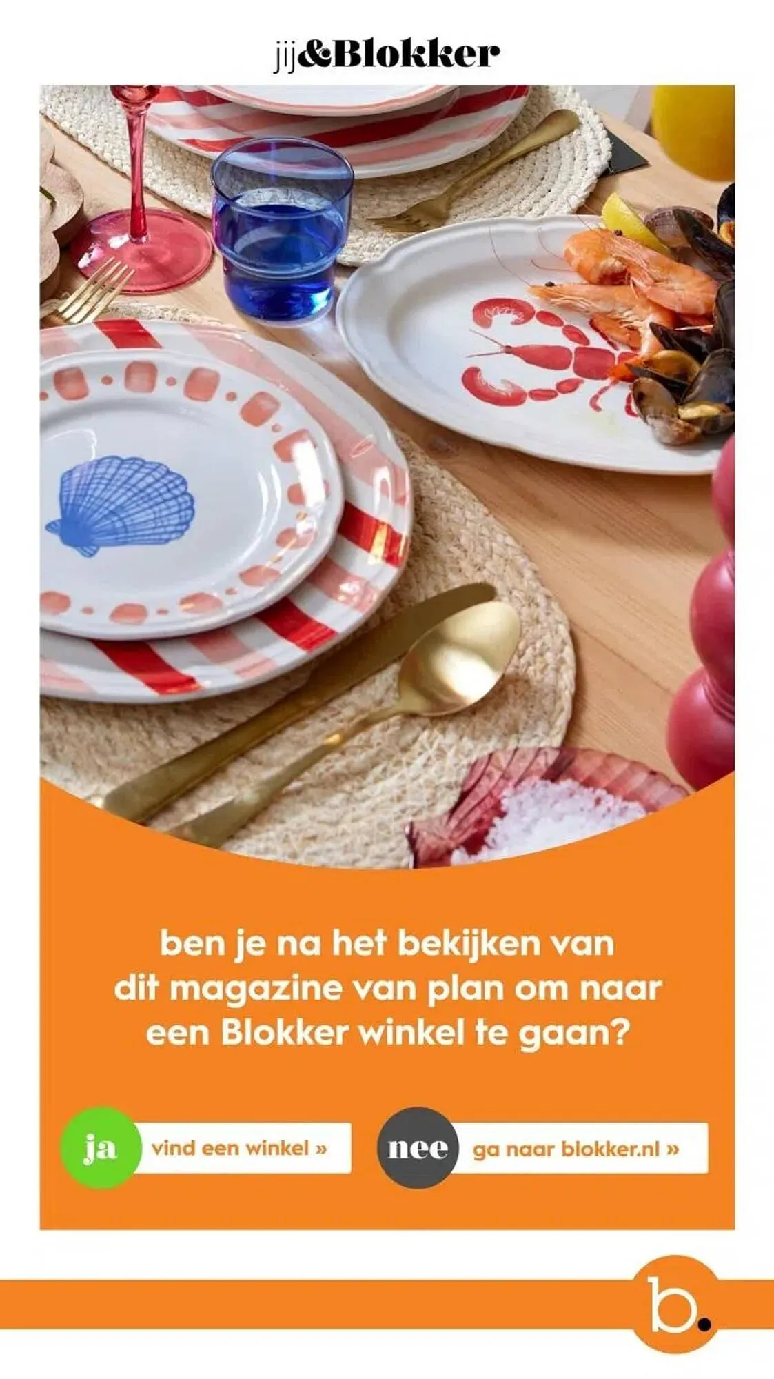 Blokker folder van 1 oktober tot 29 november 2024 - Folder pagina 45