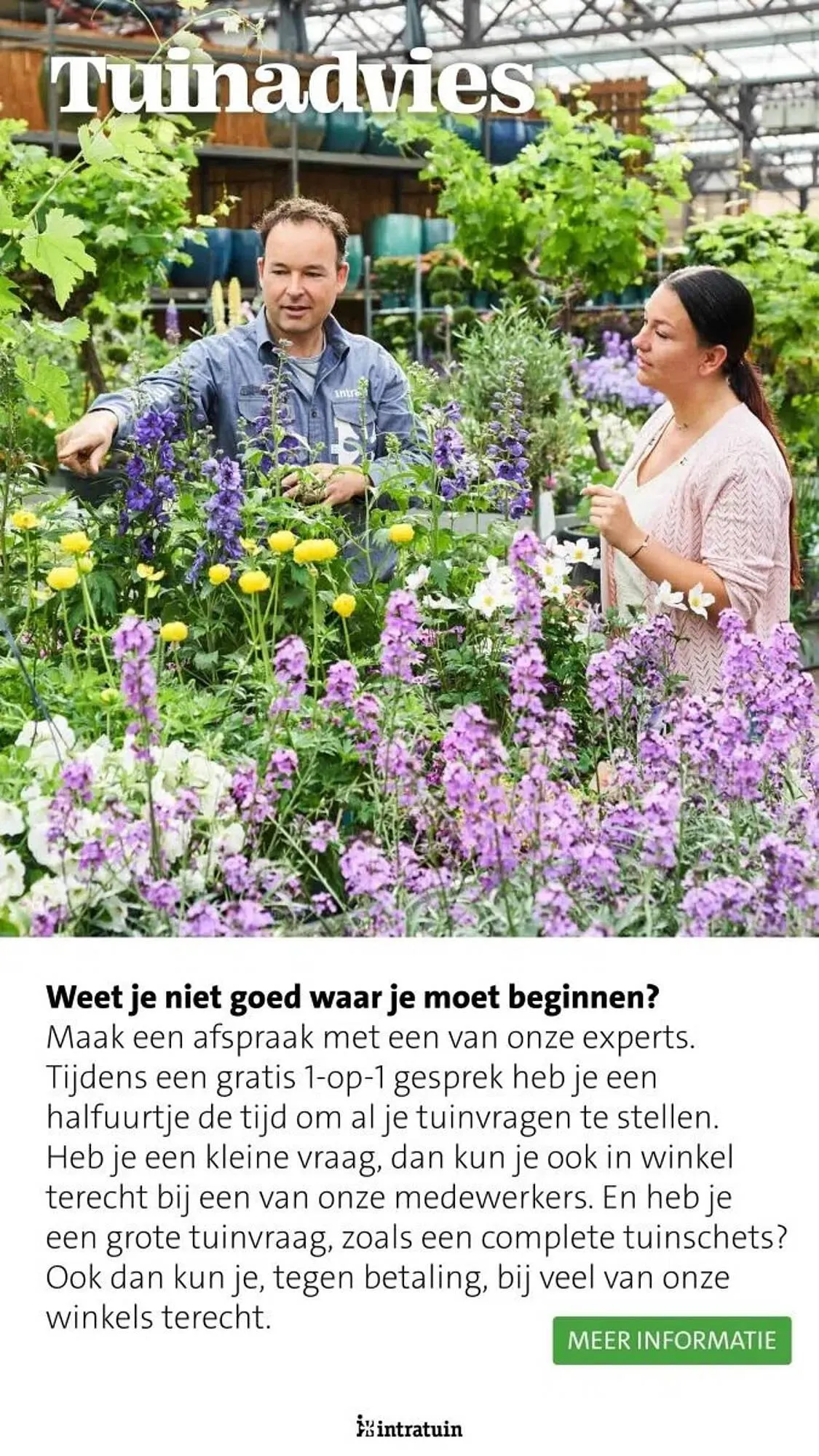 Intratuin folder van 31 maart tot 31 augustus 2025 - Folder pagina 29