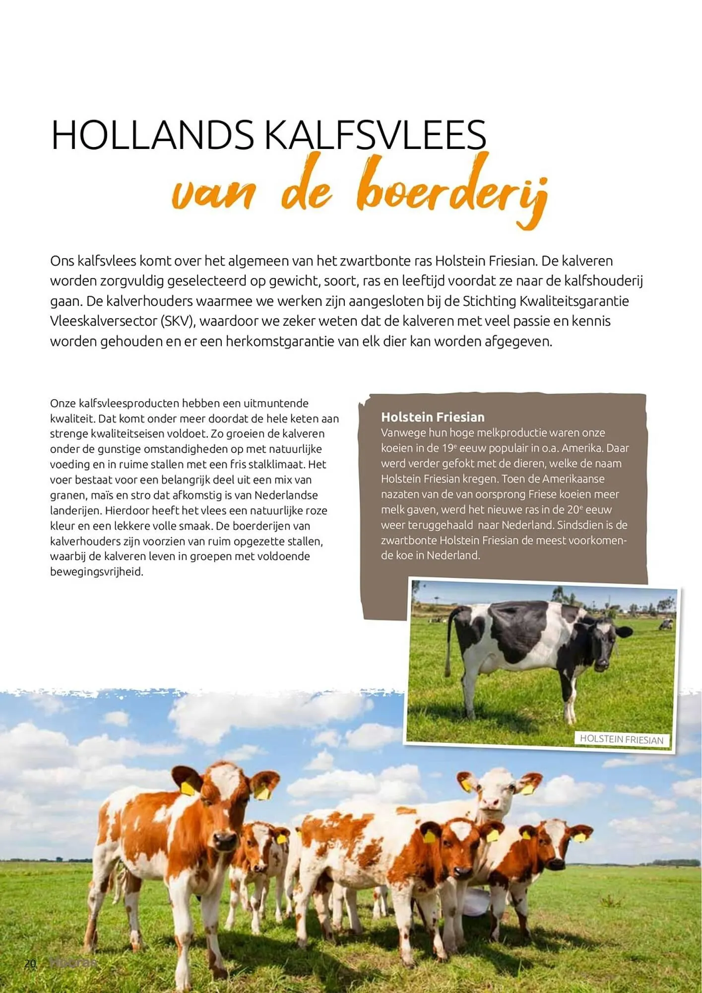 Hocras Vlees folder van 15 februari tot 31 december 2023 - Folder pagina 20