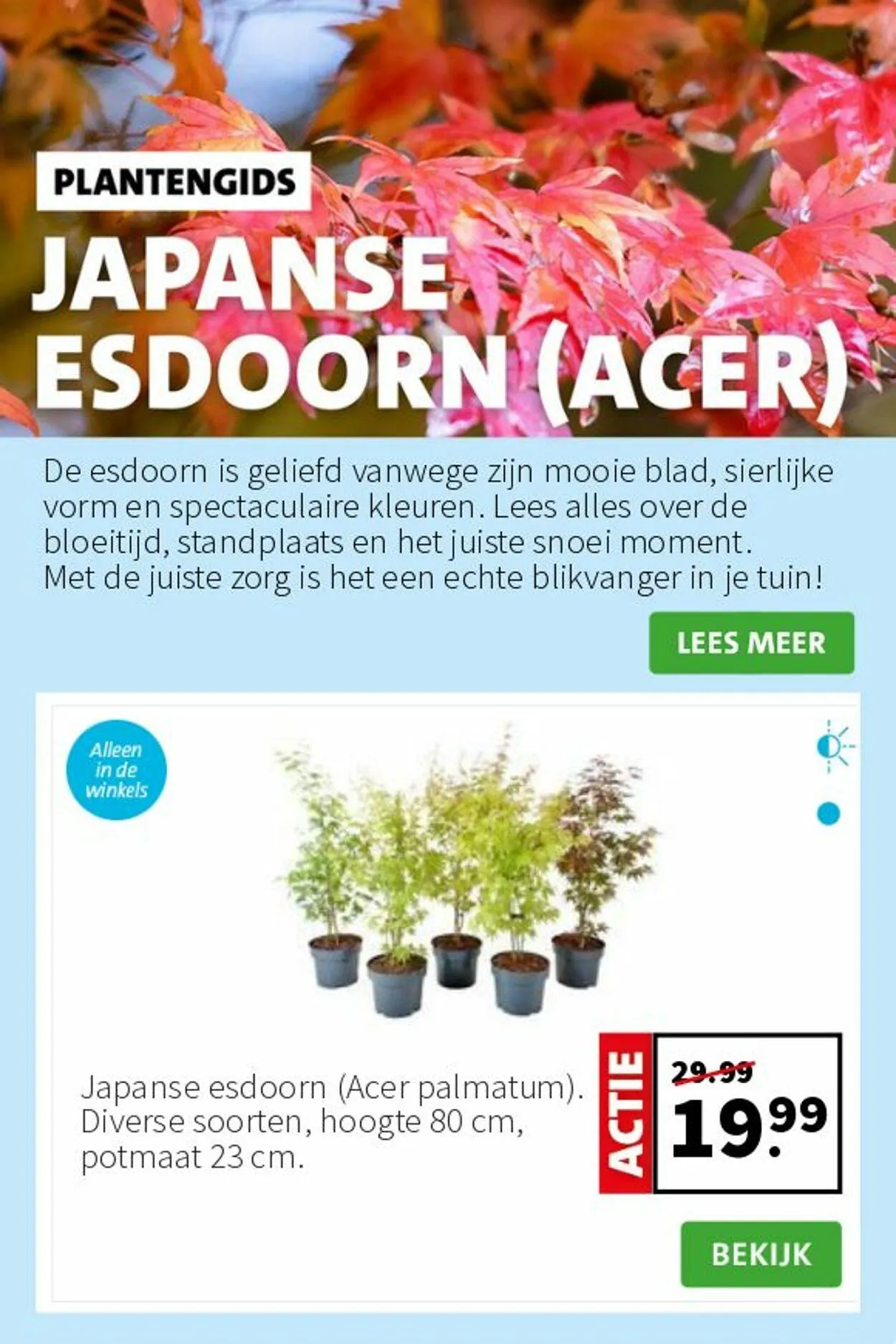 Intratuin van 12 mei tot 18 mei 2025 - Folder pagina 7