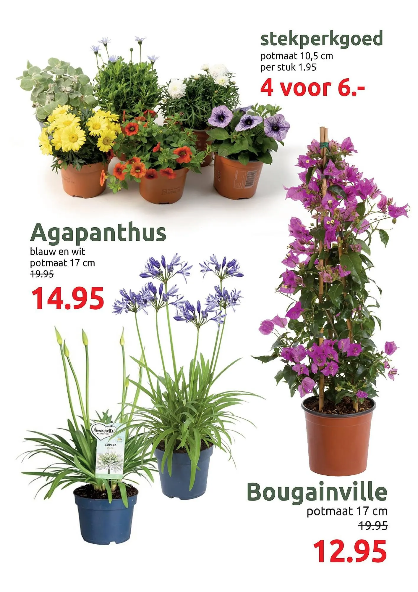 Deka Tuin folder van 27 april tot 10 mei 2026 - Folder pagina 6