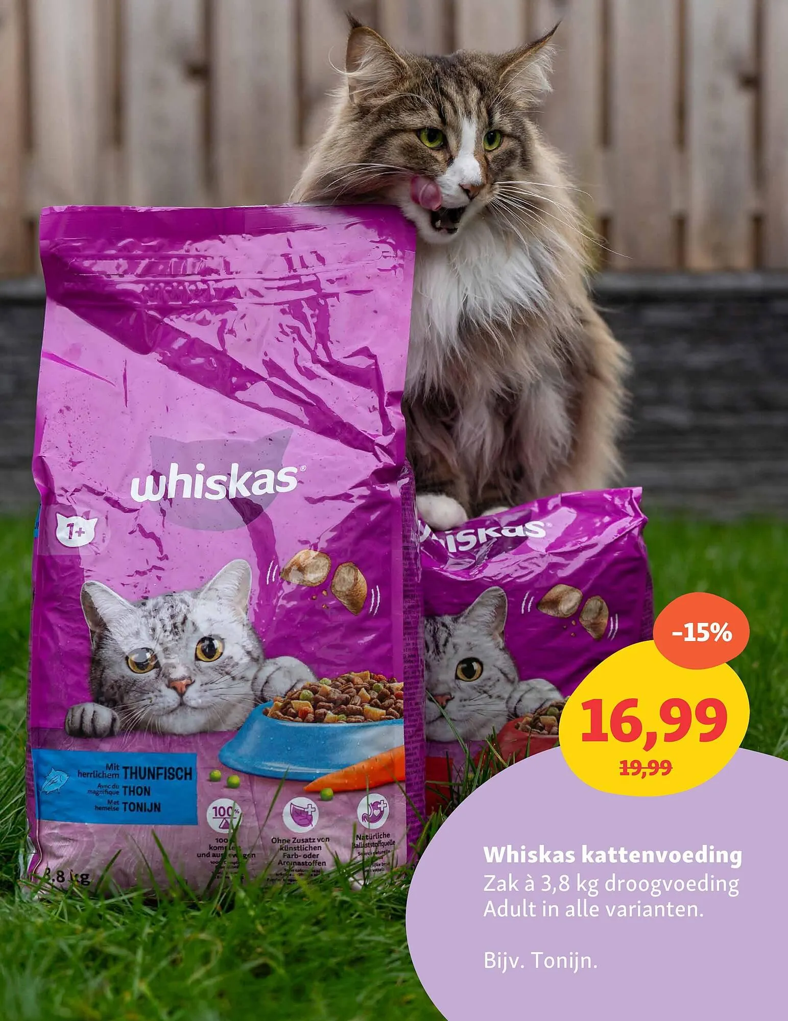 Maxi Zoo folder van 9 juni tot 15 juni 2025 - Folder pagina 14