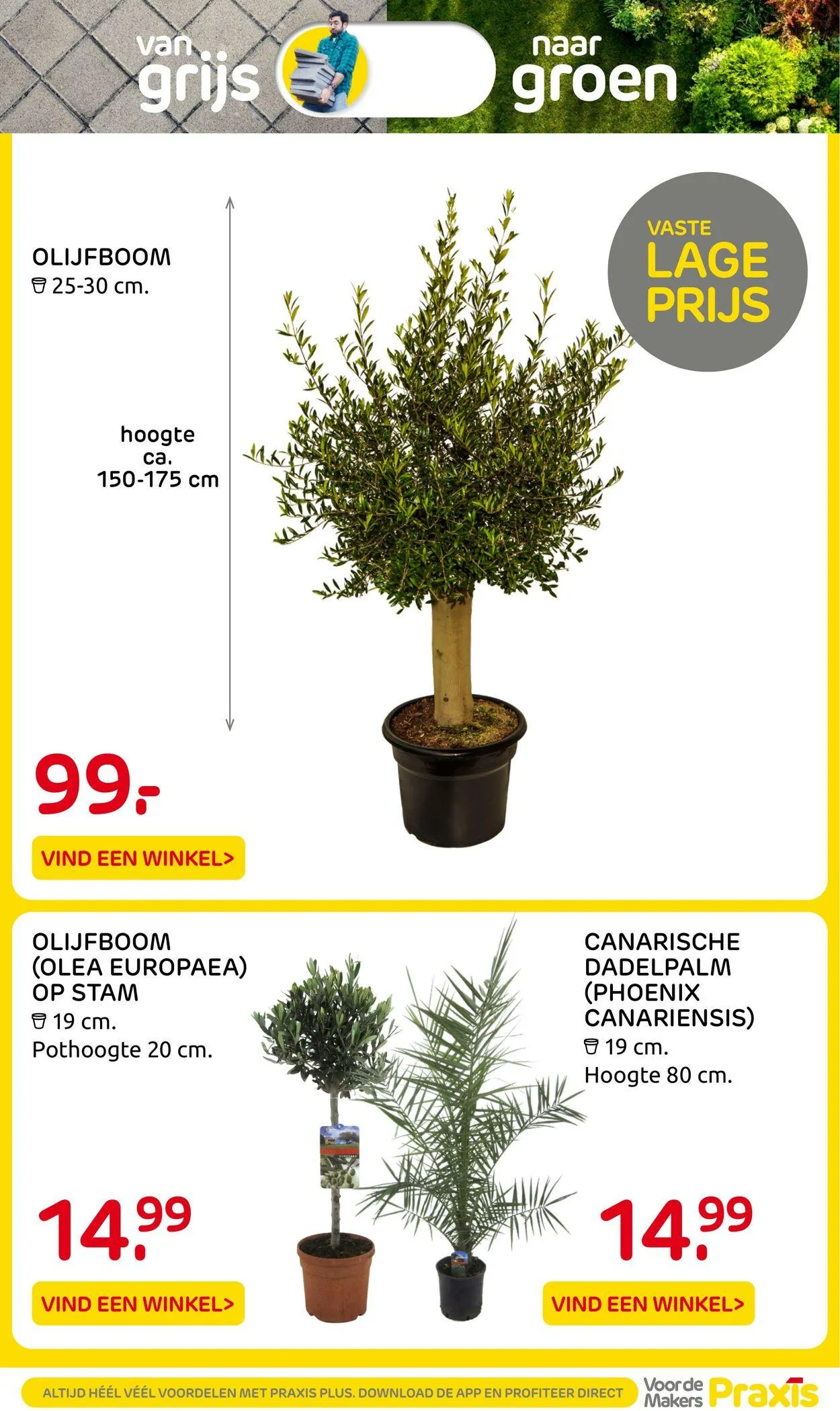 Praxis Actuele folder van 22 juni tot 6 juli 2025 - Folder pagina 15