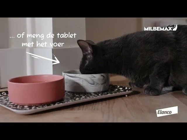 Milbemax Kat - Tabletten - Wormenmiddel - 4 stuks