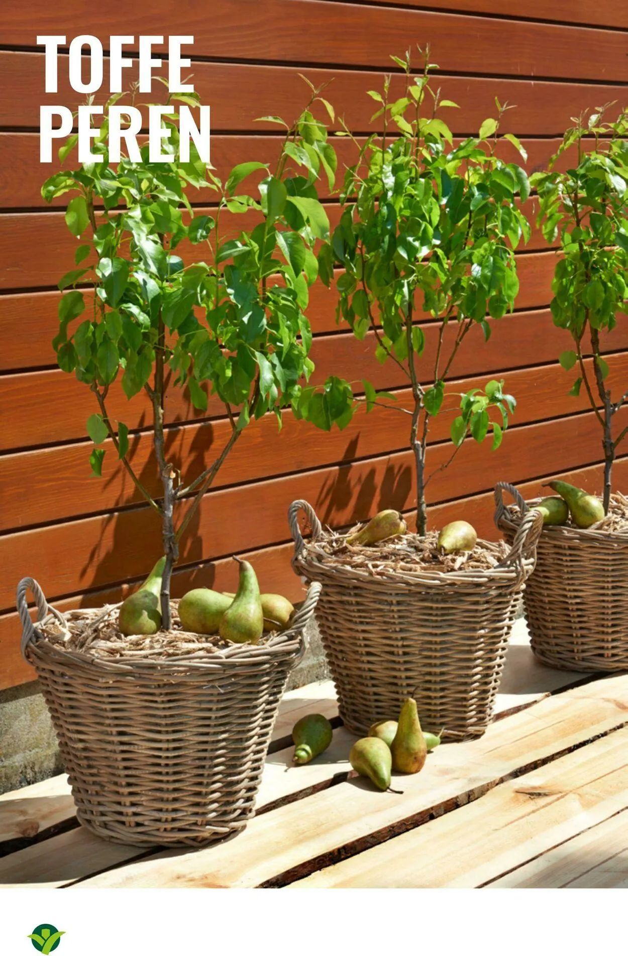 GroenRijk Actuele folder van 8 juli tot 22 juli 2025 - Folder pagina 24