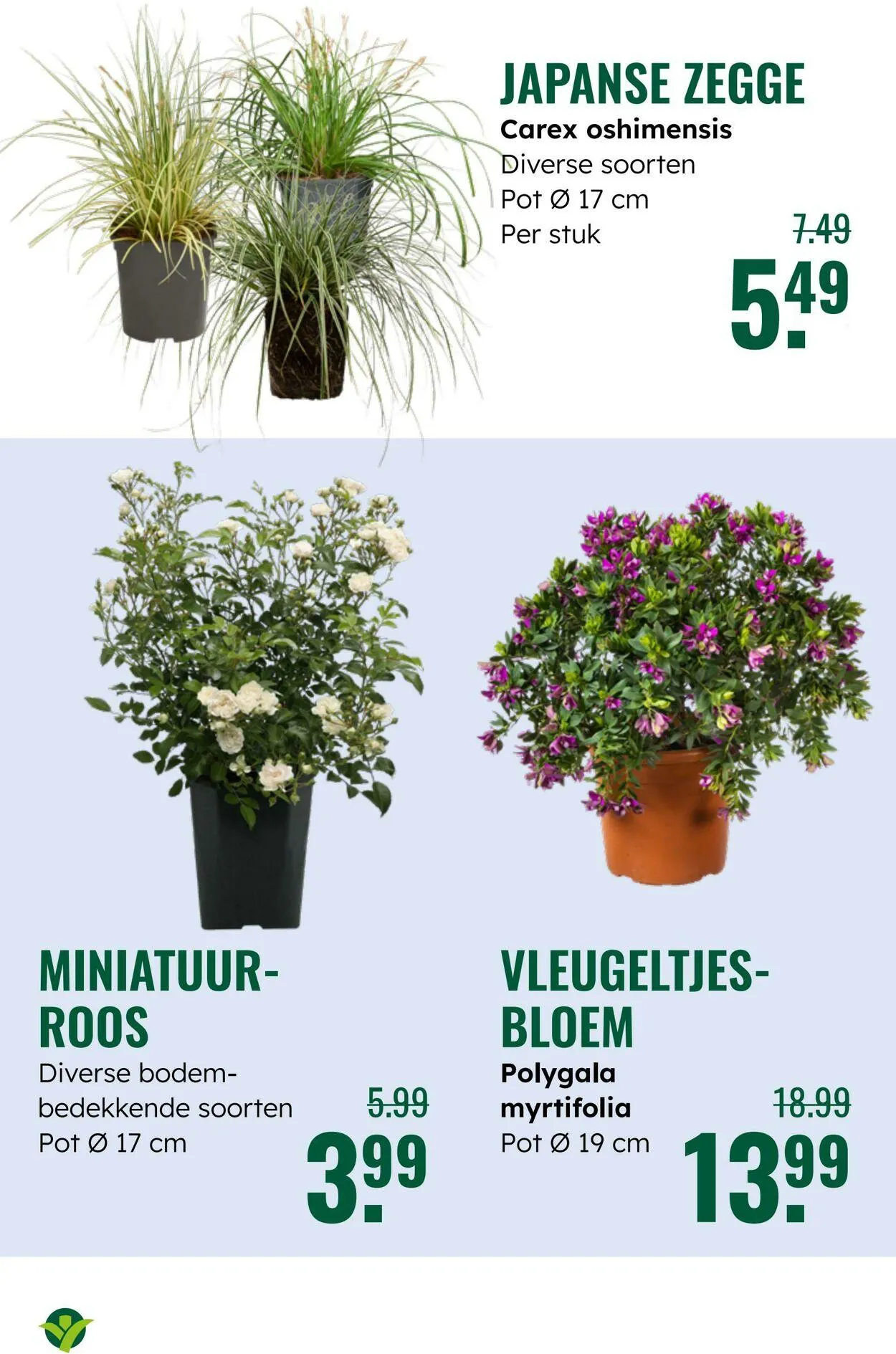 GroenRijk Actuele folder van 10 juni tot 24 juni 2025 - Folder pagina 12