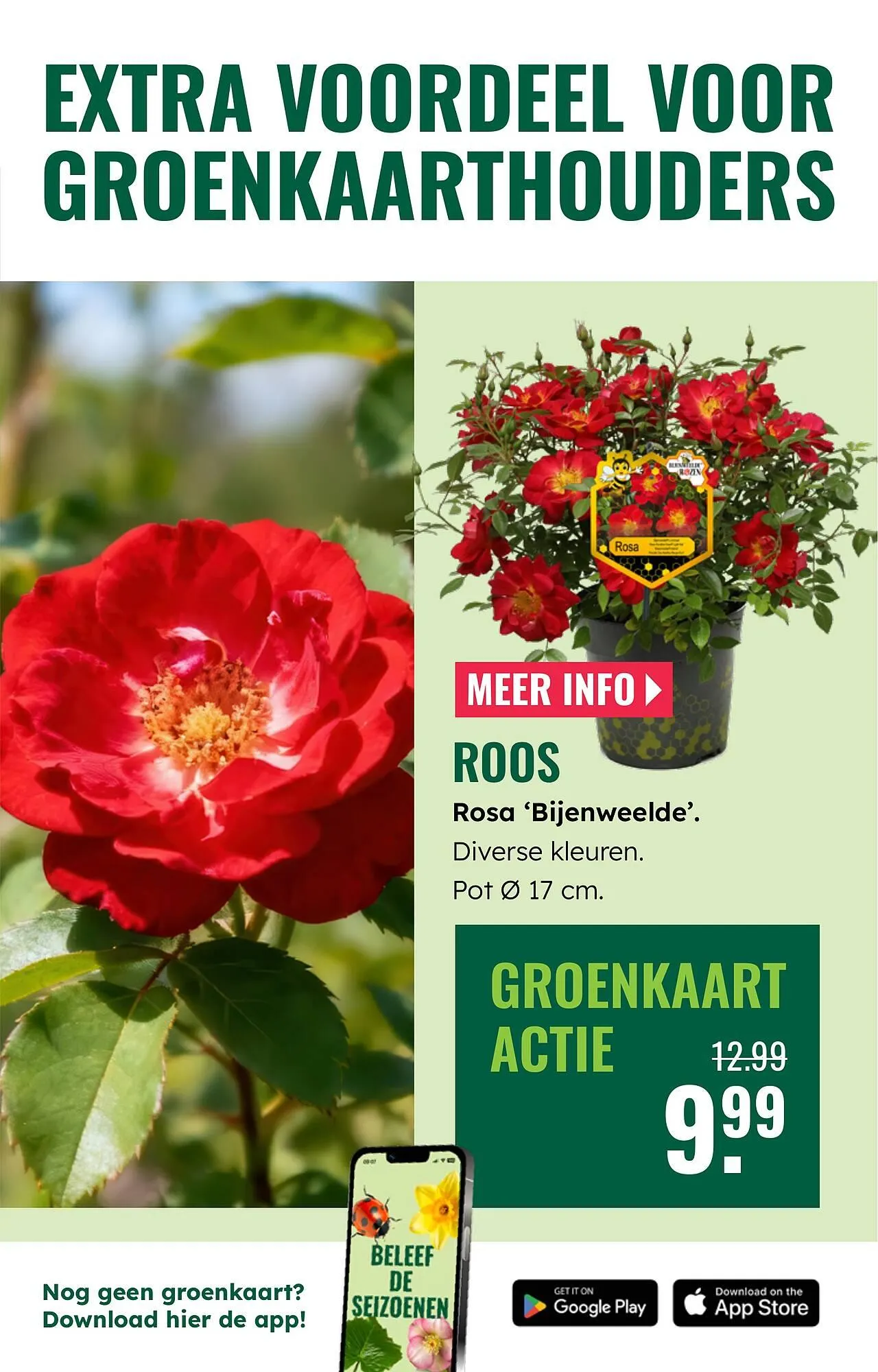 GroenRijk folder van 2 april tot 8 april 2026 - Folder pagina 3