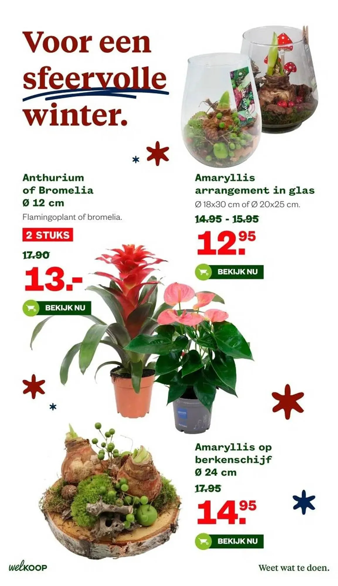 Welkoop folder van 27 oktober tot 2 november 2025 - Folder pagina 14