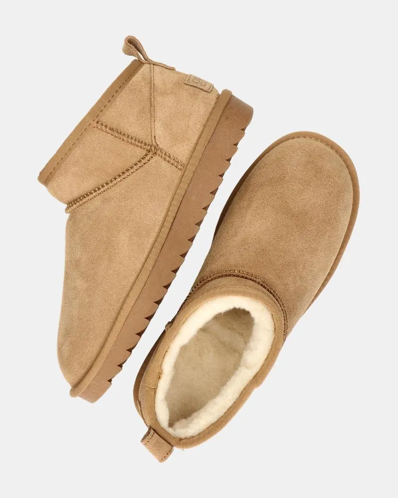 Colors of California