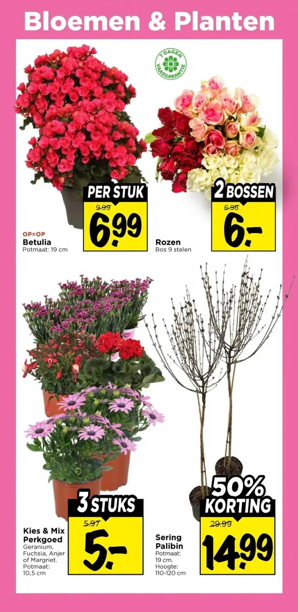 Vomar Voordeelmarkt folder van 9 april tot 11 april 2026 - Folder pagina 34