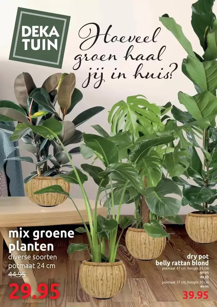Hoeveel groen haal jij in huis? - 1