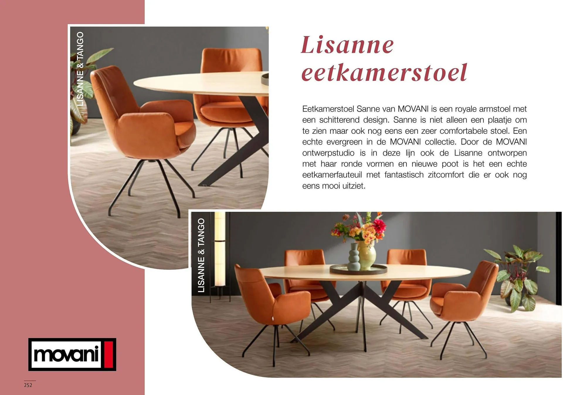 Donjon folder van 9 mei tot 15 mei 2025 - Folder pagina 254