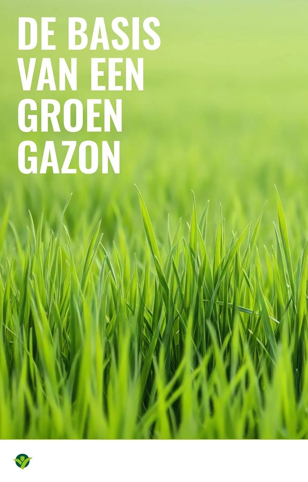 GroenRijk folder van 18 maart tot 1 april 2026 - Folder pagina 12