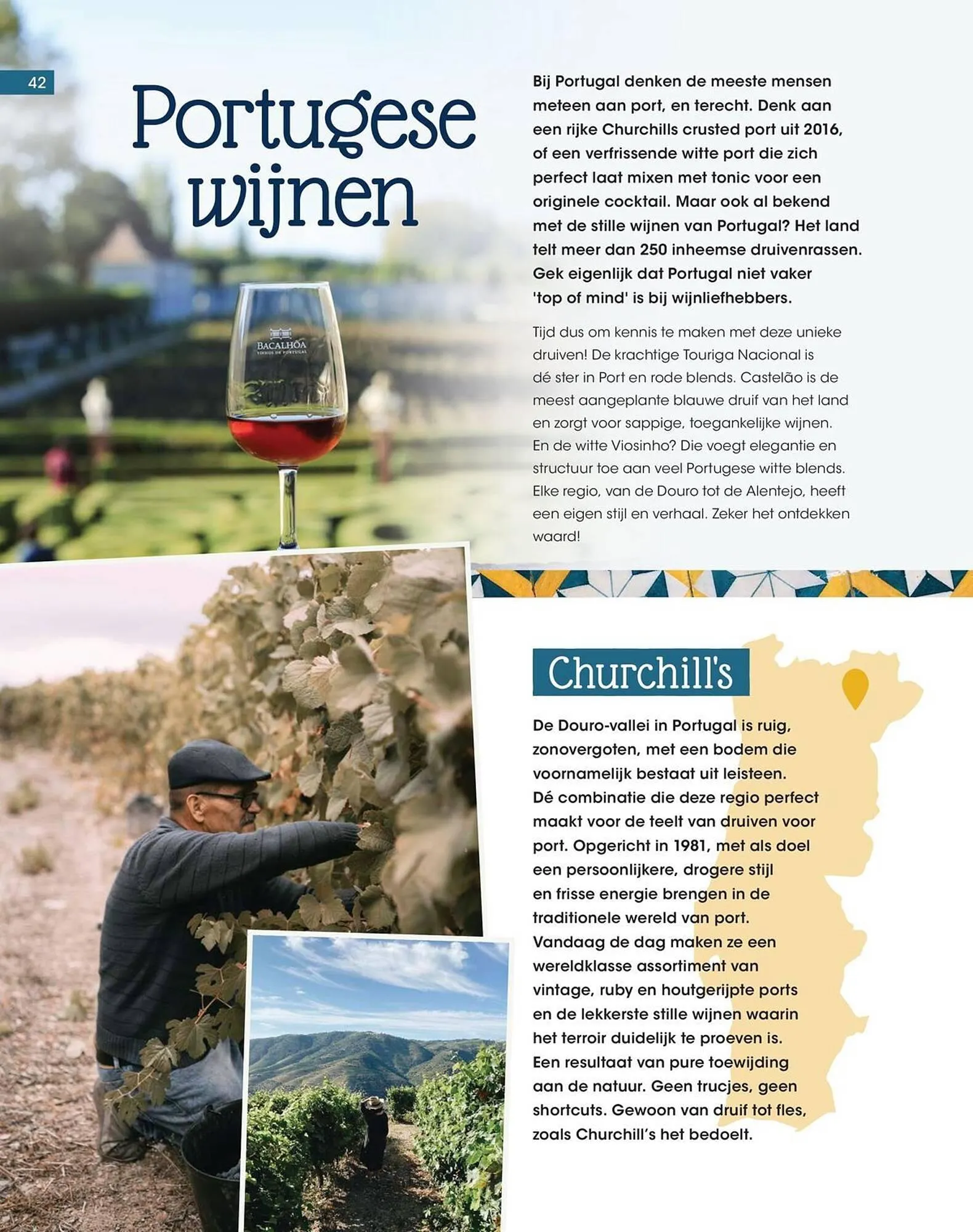 HANOS magazine van 2 juni tot 31 augustus 2025 - Folder pagina 42